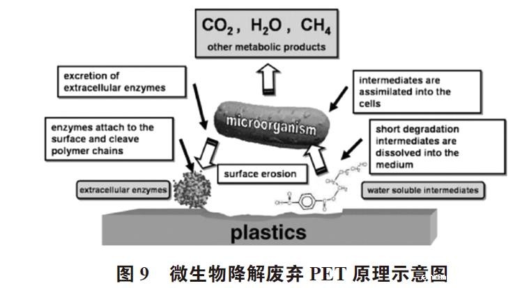 废弃PET塑料包装瓶的处理及再生资源化技术研究进展 废弃PET塑料包装瓶的处理及再生资源化技术研究进展