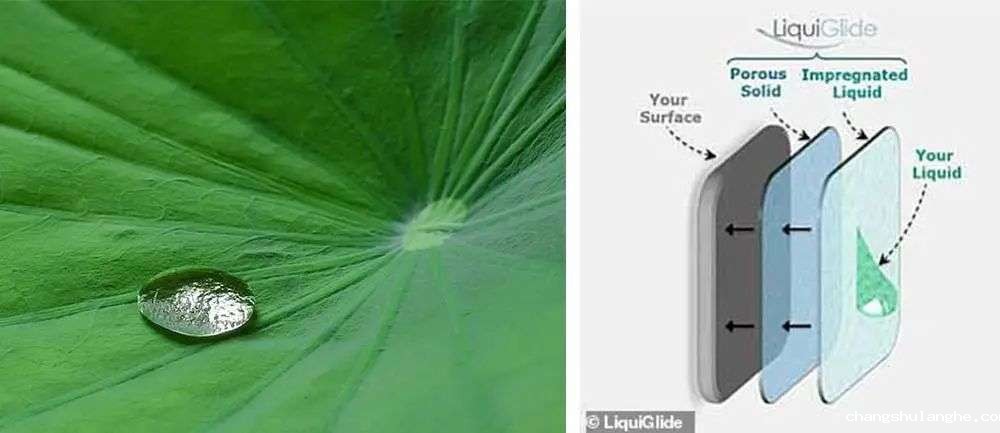 再也不用「挤牙膏」,高露洁换上的「润滑剂」包装,让牙膏从此一滴不剩 再也不用「挤牙膏」,高露洁换上的「润滑剂」包装,让牙膏从此一滴不剩