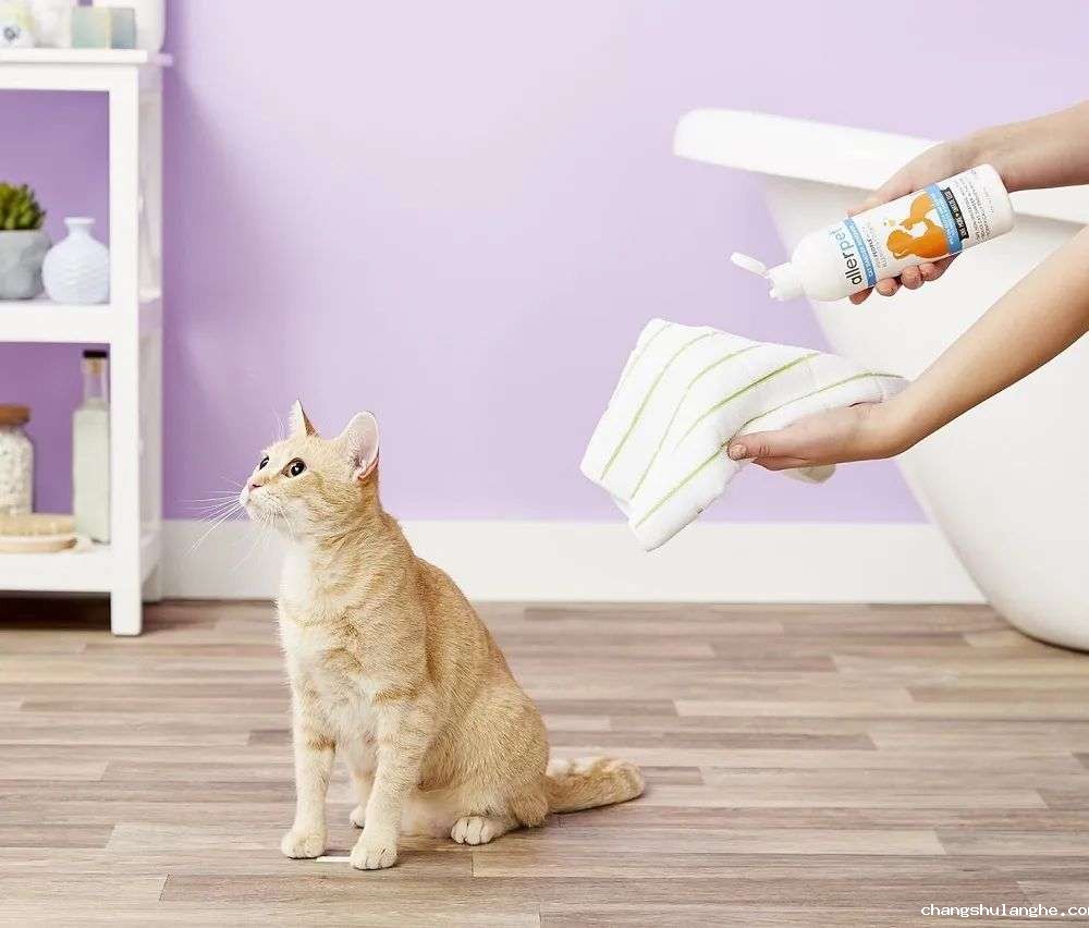 国内外巨头相继入局,宠物洗护品成为新的掘金赛道? 国内外巨头相继入局,宠物洗护品成为新的掘金赛道?